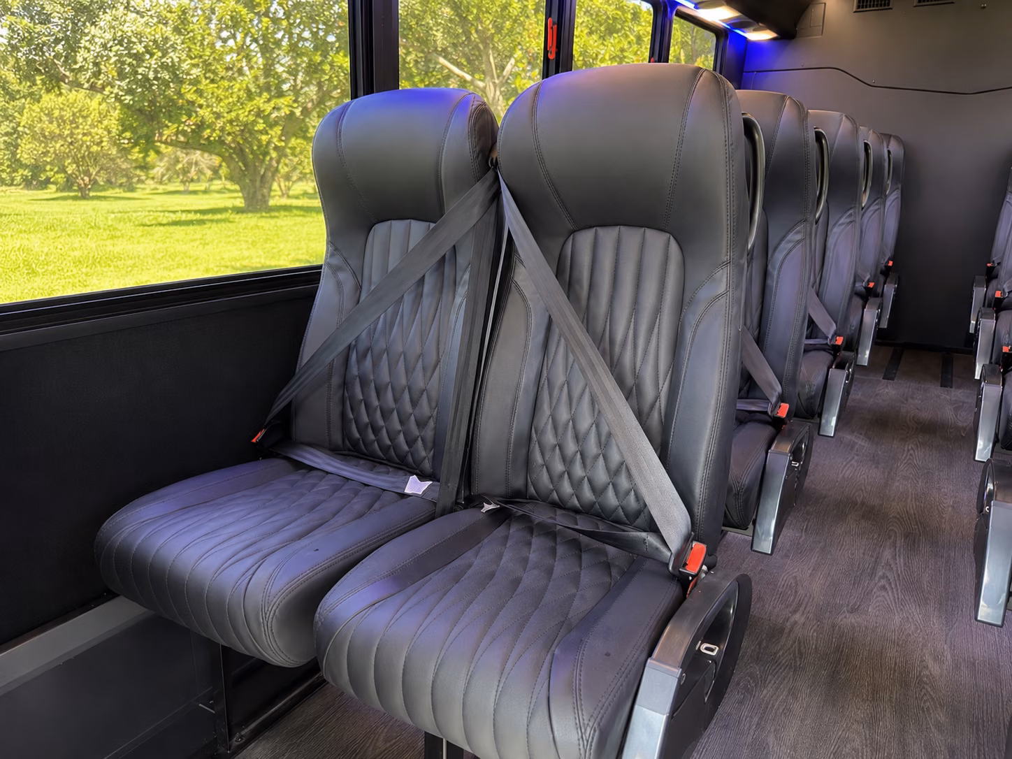 temecula 20 passenger minibus inside