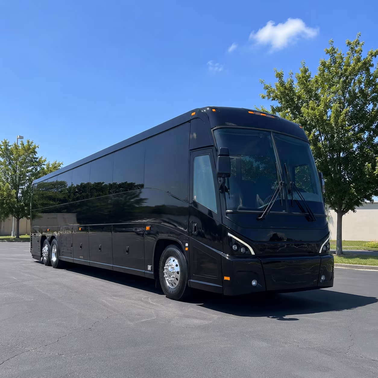 temecula 56 passenger charter bus